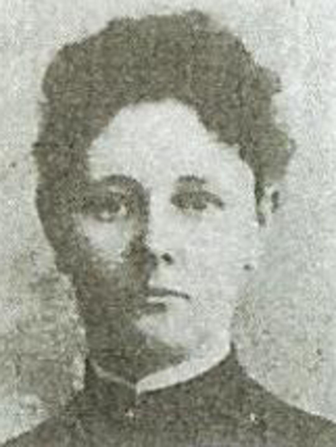 Mary Mcallister Waddle (1868 - 1953) Profile